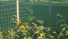 Eselhof Mobilheim - Foto 3