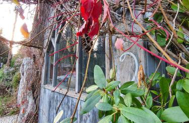 Apartament Górski Widok - Foto 52