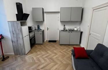 Appartement T2 avec terrasse proche cathédrale - Foto 4