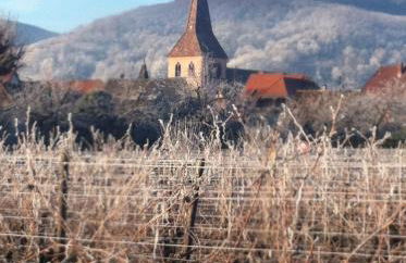 Gîte chez "Mamie Schlop" - Foto 61