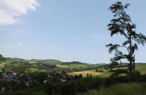 Ferienwohnungen Sonnenpfad - Foto 42