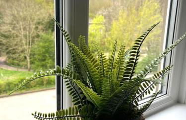 Olive Holiday Cottage Matlock - Foto 39