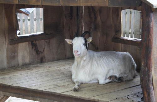 City Apartment Bischofswerda Holliday and Work - Foto 18