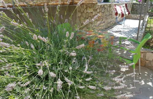 Apartman Studio Lu - Foto 15