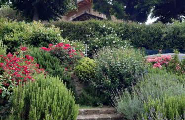 Villa La Moraiola - Foto 52