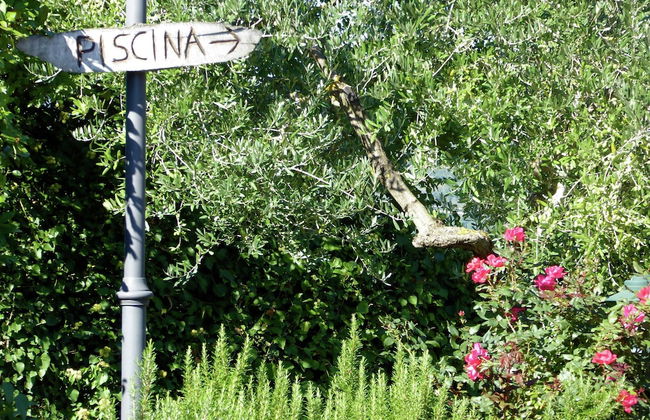 Holiday Home in Montecarelli With Pool - Foto 35