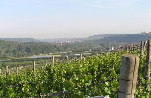 Ferienwohnung Am Alten Berg - Foto 5