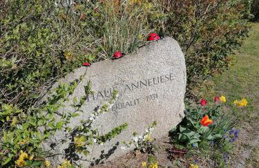 Pension Haus Anneliese - Foto 25