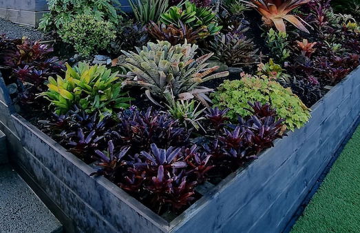 Fabulous Milford 1BR With Views & SkyTV - Foto 19