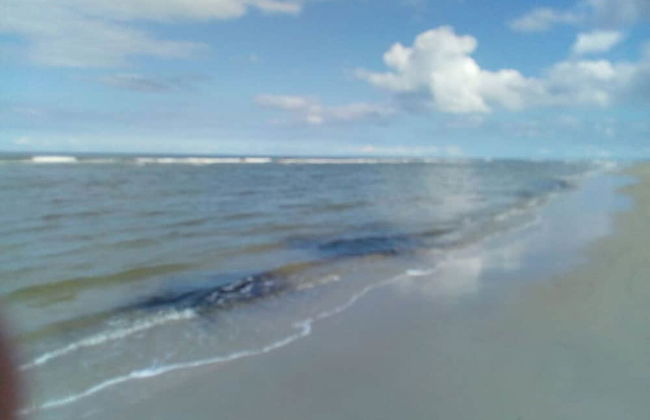 Dinkla 1 Comfortable Holiday Residence - Photo 20