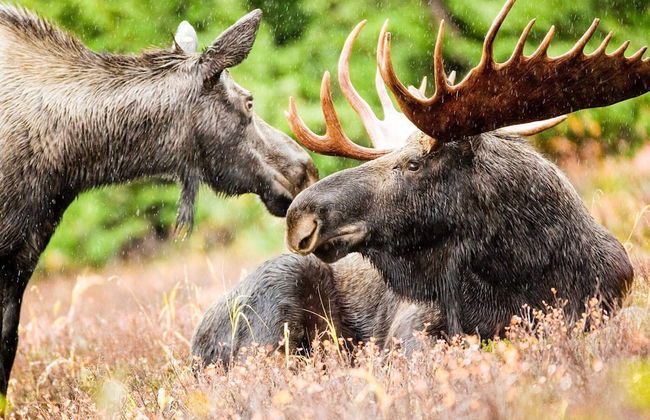 4 Star Holiday Home in Uddevalla - Photo 7