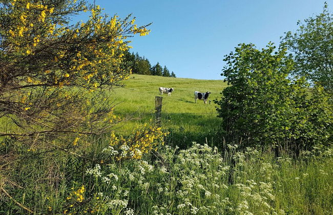 Inviting Mobile Home in Auw near Lake & City Center - Photo 36