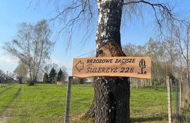 Brzozowe zacisze - Foto 1