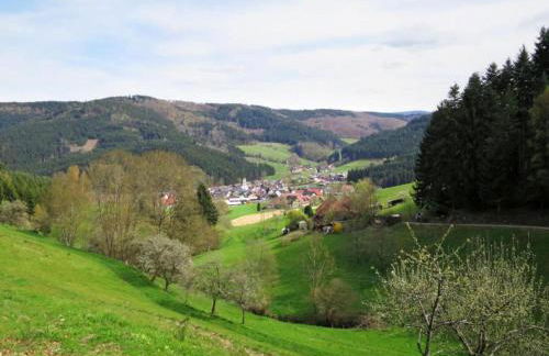 Hideaway Near Black Forest - Photo 41