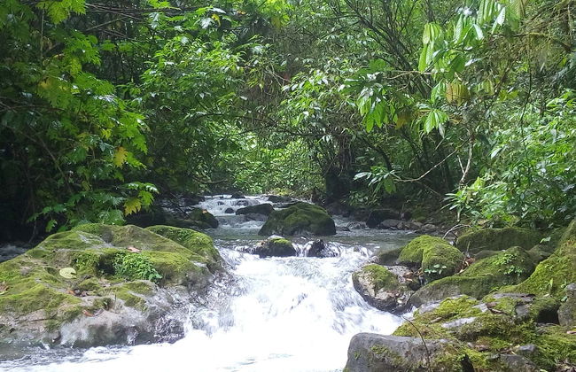 Escursione a Gloriapata - Foto 1