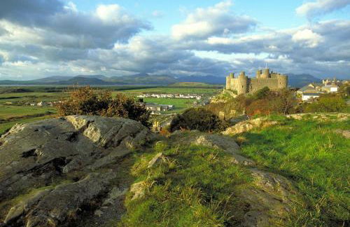 1 Bed in Brithdir oc-w30045 - Foto 24