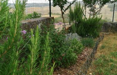 All'ombra del pino ALLOGGIO TURISTICO - Foto 36