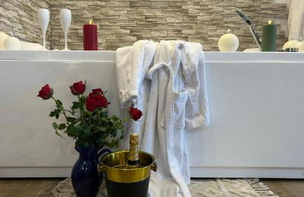 Loft sauna balnéothérapie - Foto 13