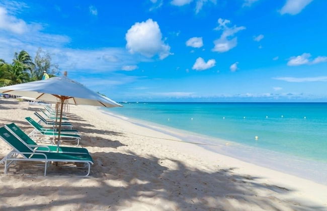 Coral Cove 5 - Condo Shutters - Foto 14