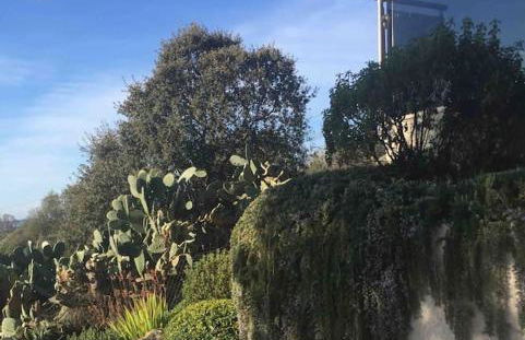 LE PALADIN Porto Pollo Villa privée avec piscine chauffée - Foto 80