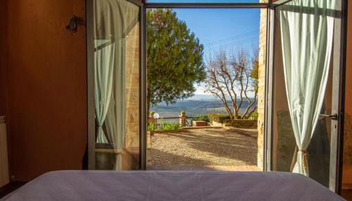 Fattoria di Cinciano - Foto 3, Garden view, Other