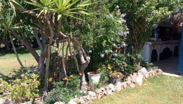 Efi Pool & View Alepochori i - Foto 5, Garden view