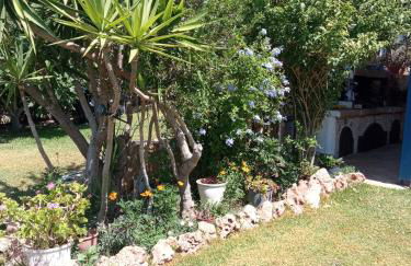 Efi Pool & View Alepochori i - Foto 5