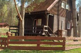 Domek u Bartnika z basenem na Mazurach - Foto 1