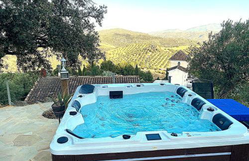 Rural cottage VINCENT van Gogh, with spectacular pool & OPTIONAL private 6 guests jacuzzi - Foto 44