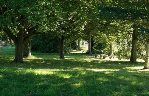 Deepwell Granary is a lovely thatched barn with attached meadow woodland - Foto 14