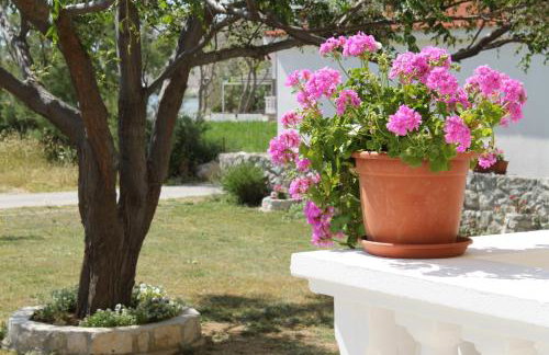 Apartments by the sea Vlasici, Pag - 6523 - Foto 9