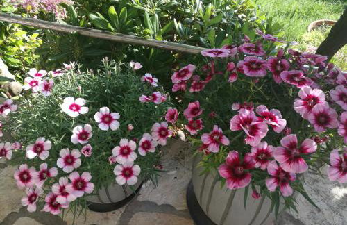 Apartments Eugen - Foto 42