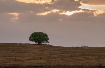 Monte Vale - Nature Resort - Foto 71