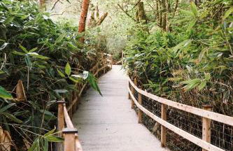 Luxury studio with HOT TUB and Stunning Gardens - Foto 14