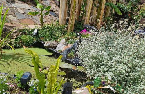 3 Bedroom Bungalow with great Sea Views, Private Hot Tub & Gardens - Foto 33