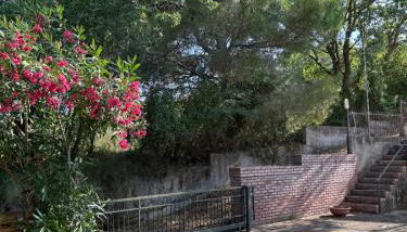 Desiderio D'Ammore CILENTO - Foto 4, Garden, Garden view