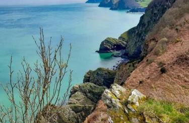 Cosy coastal retreat lovingly refurbished - Foto 21