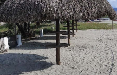Areia Beach - Pozos Colorados - Santa Marta - Colombia - Foto 36