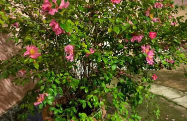 Benaco Apartment - 98mq Comfort & Style -Milano- Fondazione Prada - Photo 43