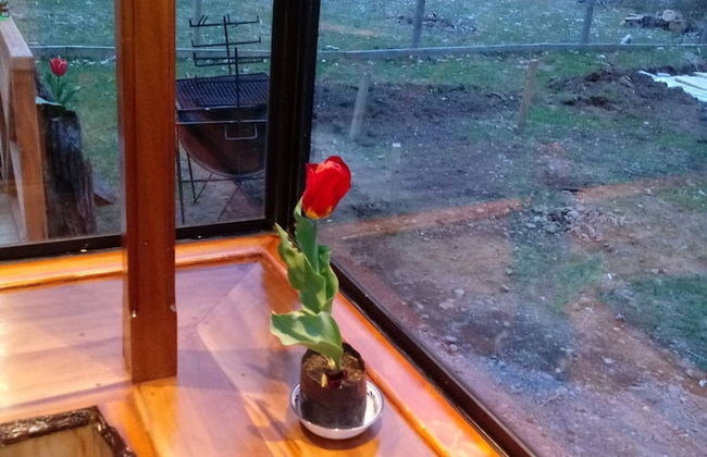 Cabana 4 Personas En Hermoso Paisaje En Pucon - Foto 30