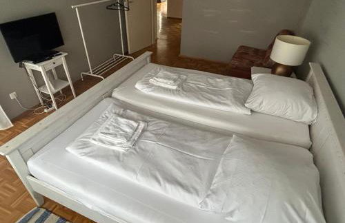 GoetheApartment - Foto 24