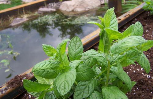 St. Ulrichhof - Photo 10