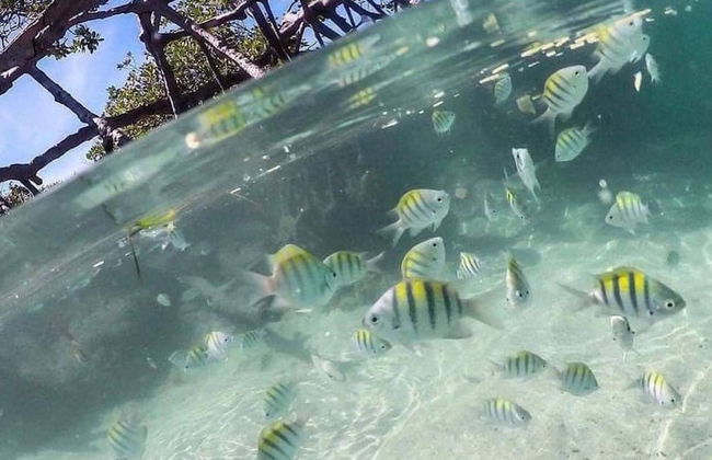 Guanica Malecon Bay House - Foto 28