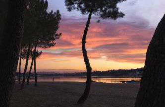 Résidence Hôtelière les Acanthes - Foto 11