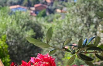 Tenuta Buonocore - Foto 20