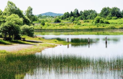 Cottage in Lovinac Near Paklenica Park - Foto 46