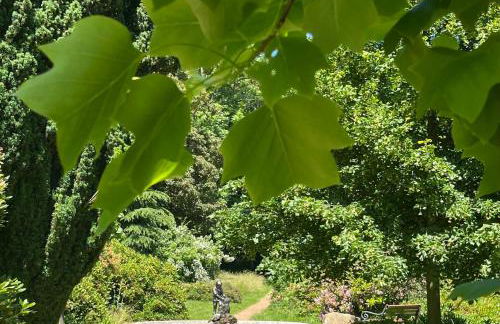 Ferienwohnung Auszeit am Schlossberg - Foto 17