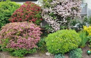 Haus Roßner - Foto 38