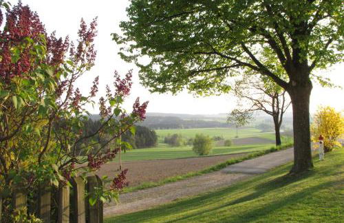 Haus Hollerbusch - Foto 47