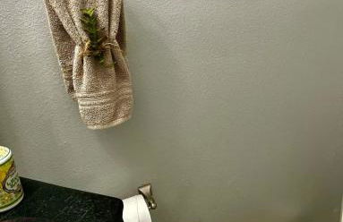 SPACIOUS Home in Tampa Area & Wesley Chapel - Foto 37